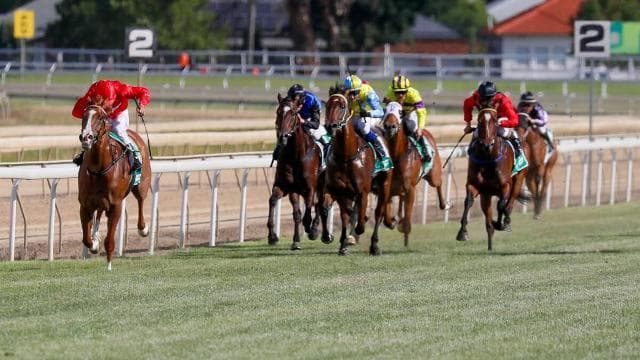 Widdison set for Super Christmas after Ted Ryder Cup day double at Wagga