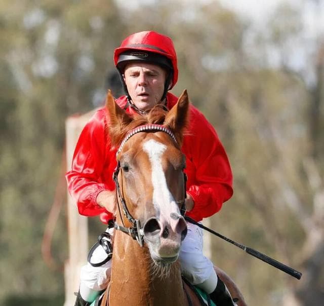 Widdison set for Super Christmas after Ted Ryder Cup day double at Wagga