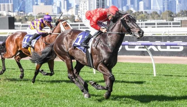 Widdison set to head to Randwick with stable star on Melbourne Cup day!