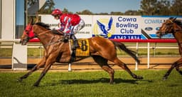 Widdison Racing eyes Wagga features